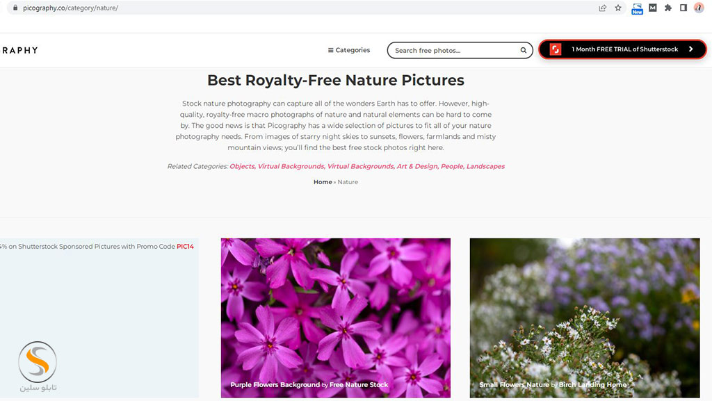 عکس با کیفیت بالا برای چاپ بنر