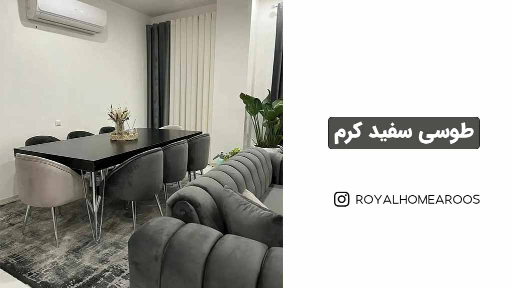 شیک ترین رنگ دکوراسیون منزل چیست؟ +معرفی رنگ سال 2025 + عکس 14 دکوراسیون شیک و باکلاس سفید طوسی